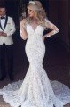 Alexia Mild V-neck Long Sleeves Backless Lace Mermaid Wedding Dresses With Court Train