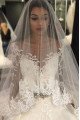 Ali Classical Jewel Long Sleeves Appliques Ball Gown Wedding Dresses With Crystal