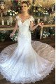 Ali Lovely V-neck Open Back Mermaid Wedding Dresses With Appliques