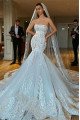 Constance Gorgeous Strapless Open Back Mermaid Wedding Dresses With Appliques