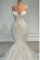 Dinah Gentle Spaghetti Straps Appliques Mermaid Wedding Dresses