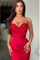 Hilary Red Burgundy Spaghetti Straps Beading Mermaid Prom Dresses