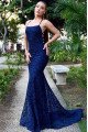 Cynthia Mild Dark Navy Halter Backless Lace Sheath Evening Dresses