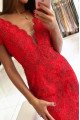 Doreen Mild Red V-Neck Open Back Lace Sheath Prom Dresses