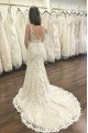 Annabelle Exquisite V-Neck Open Back Appliques Court Train Sheath Wedding Dresses